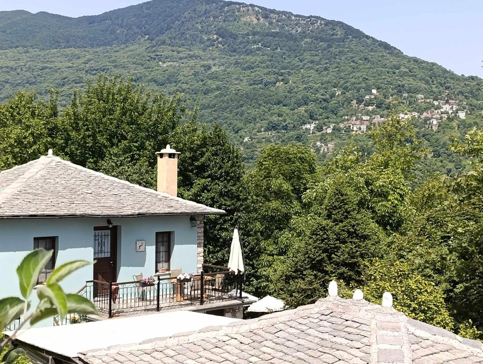 Μountain Whispers Apartment Mouresi Exterior photo