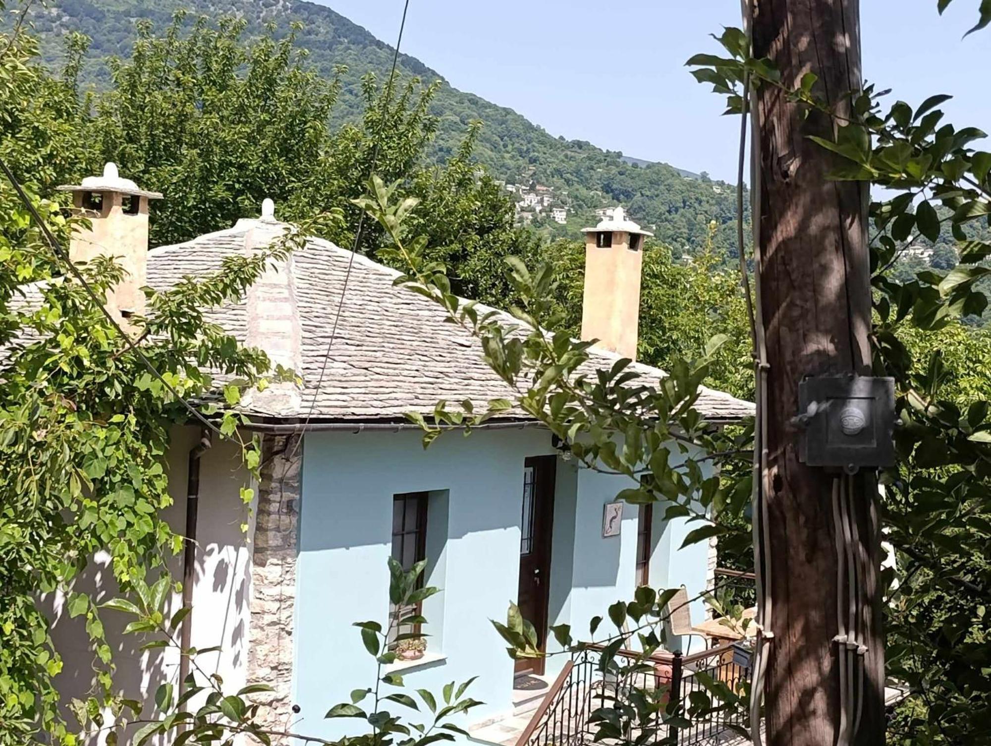 Μountain Whispers Apartment Mouresi Exterior photo