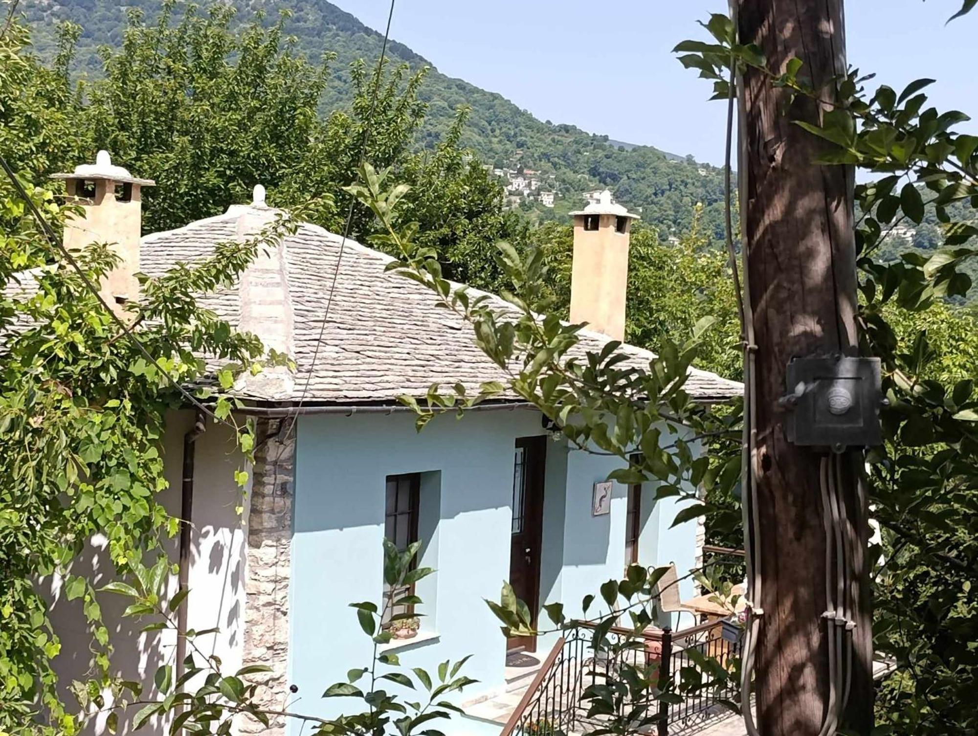 Μountain Whispers Apartment Mouresi Exterior photo