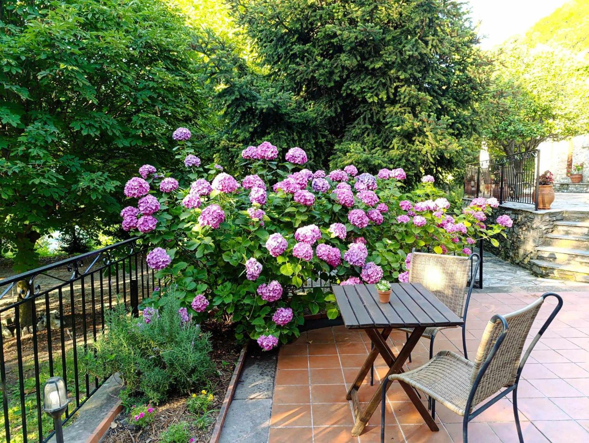 Μountain Whispers Apartment Mouresi Exterior photo