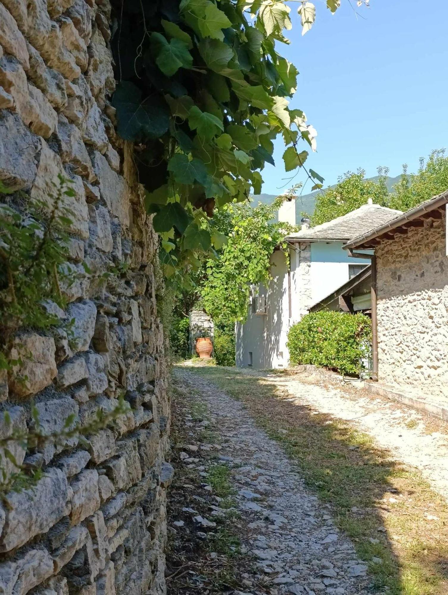 Μountain Whispers Apartment Mouresi Exterior photo