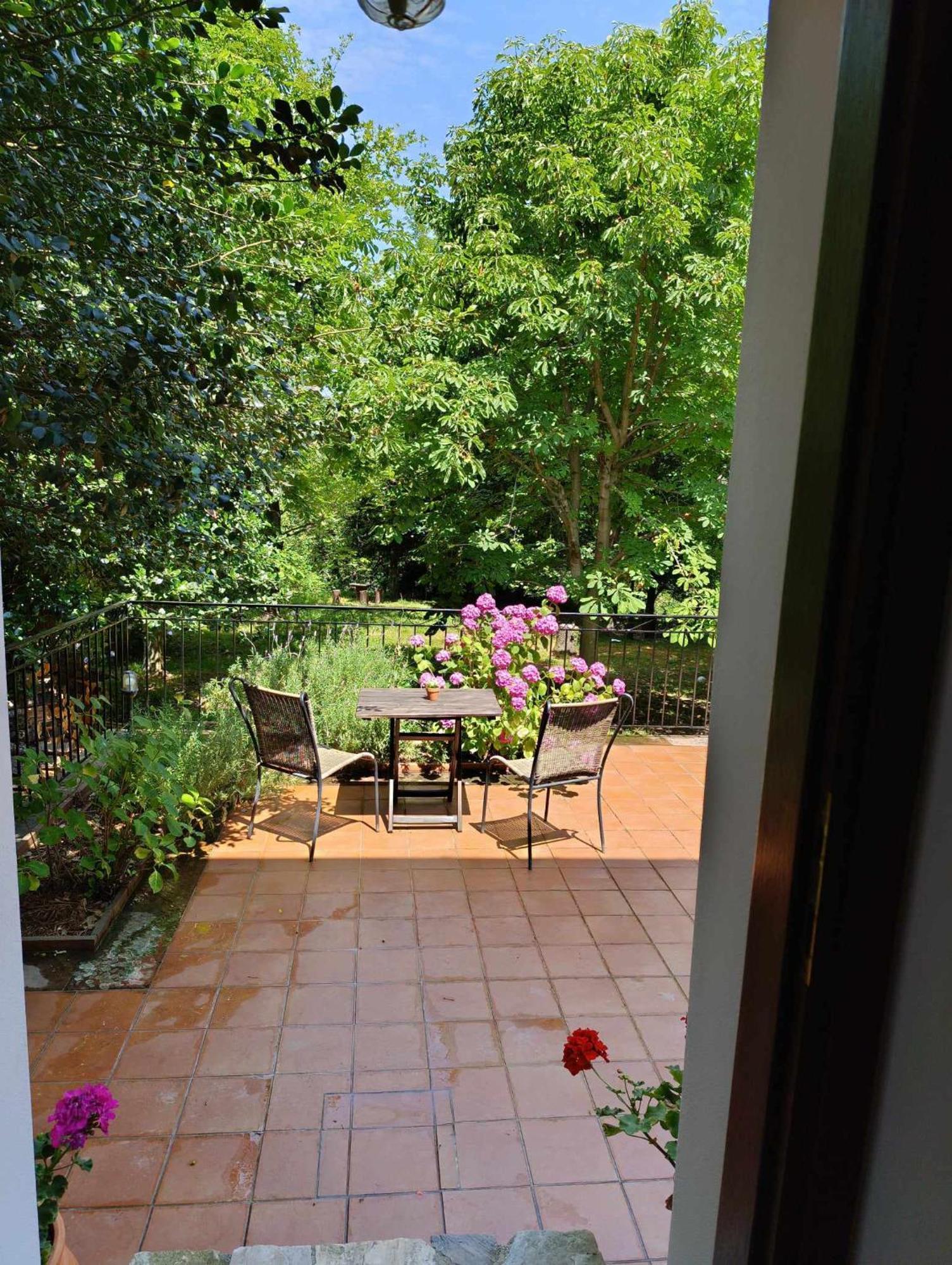 Μountain Whispers Apartment Mouresi Exterior photo