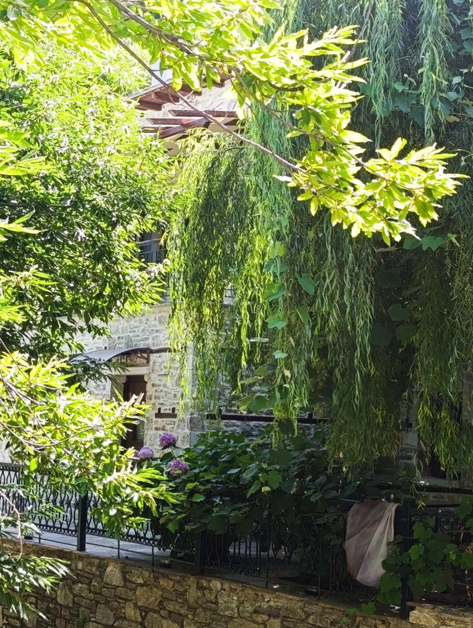 Μountain Whispers Apartment Mouresi Exterior photo