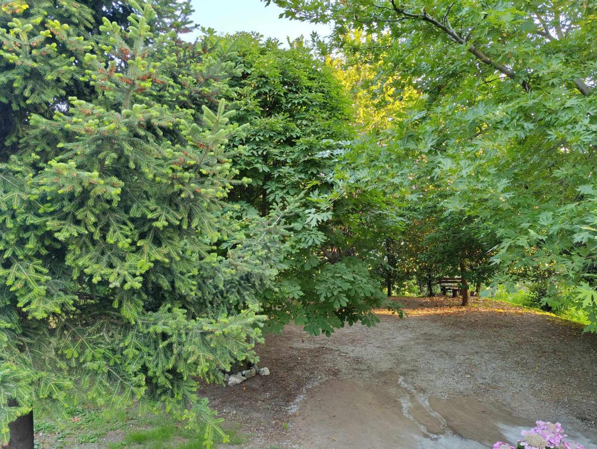 Μountain Whispers Apartment Mouresi Exterior photo