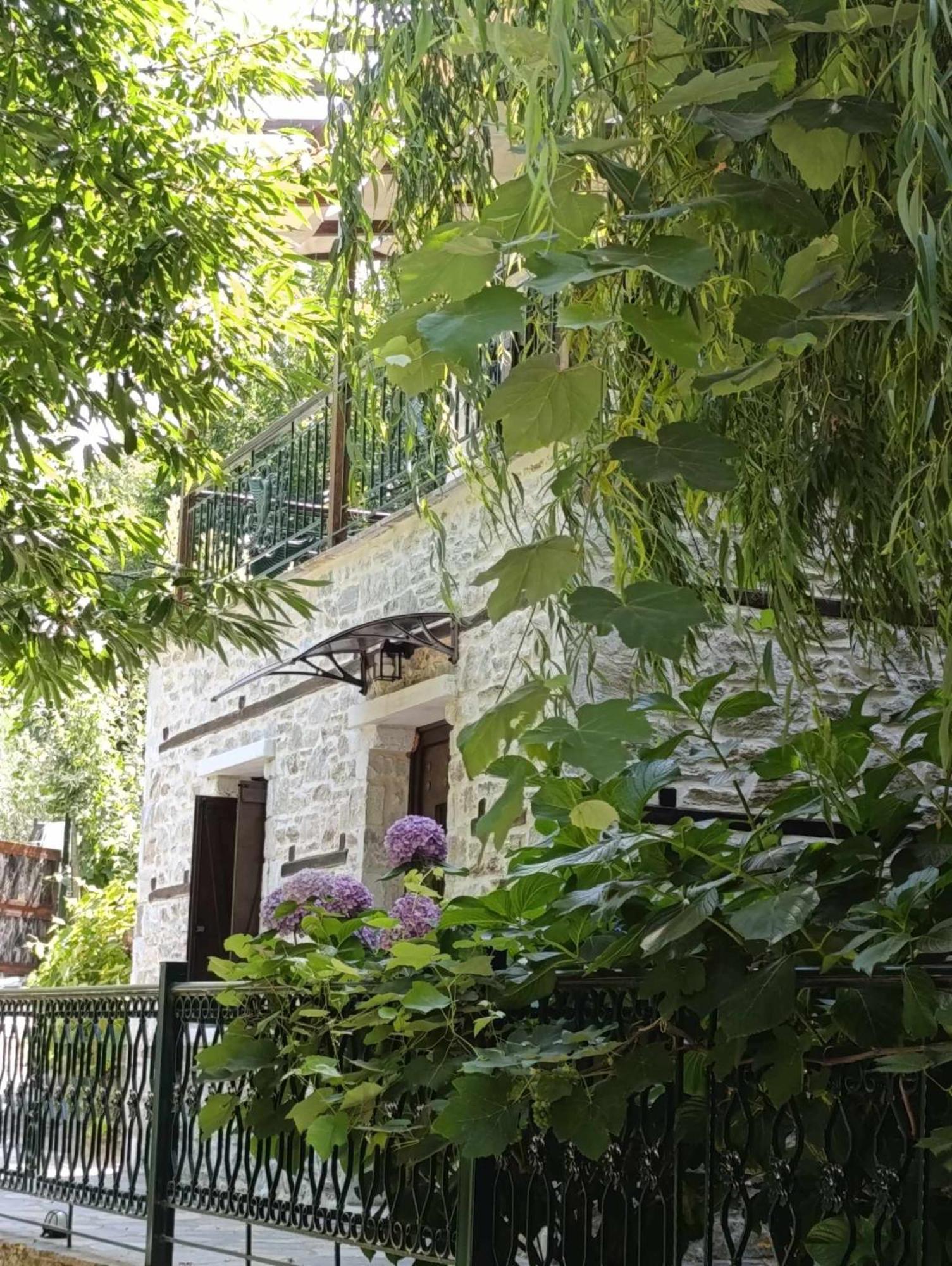 Μountain Whispers Apartment Mouresi Exterior photo