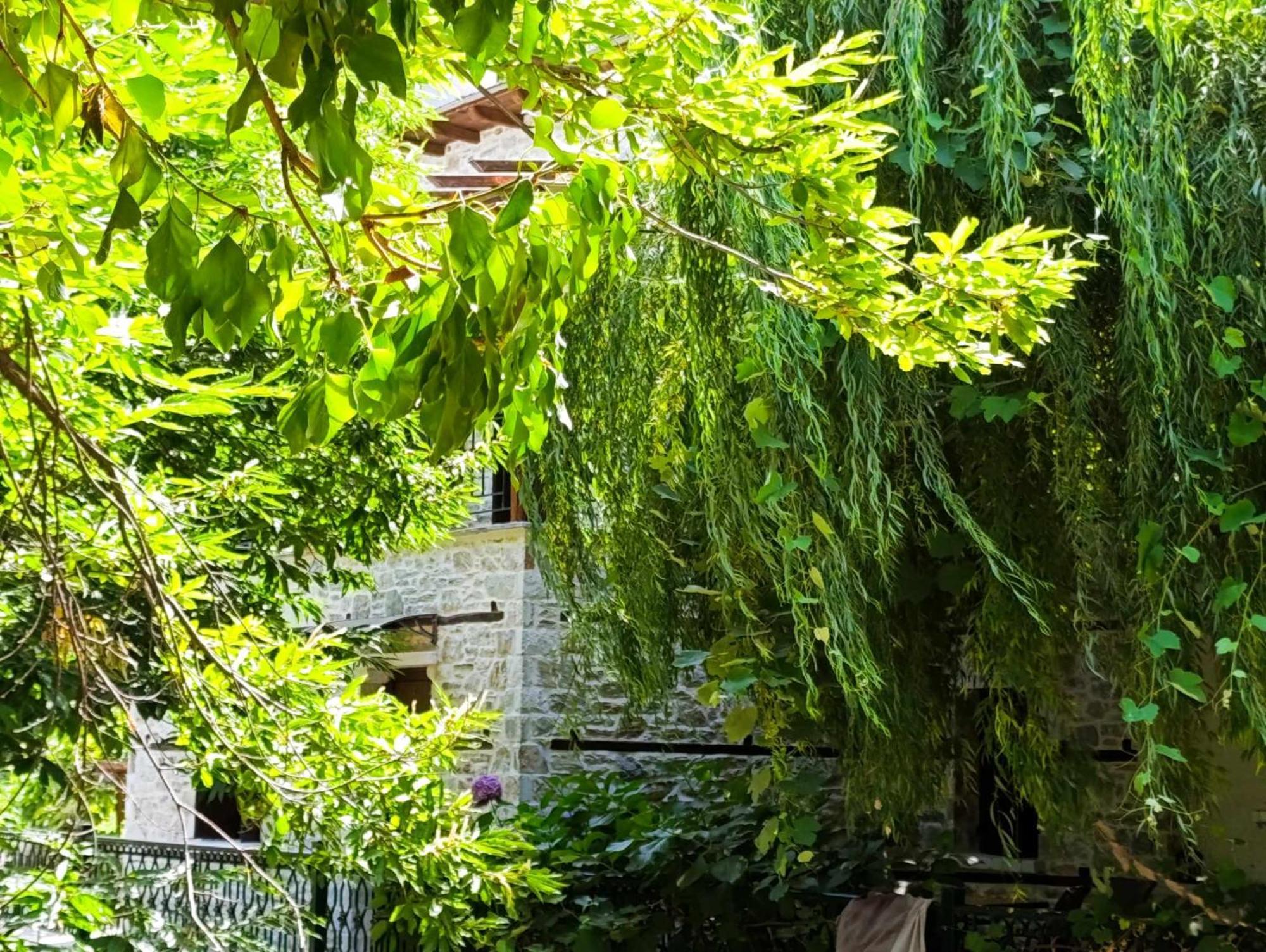 Μountain Whispers Apartment Mouresi Exterior photo