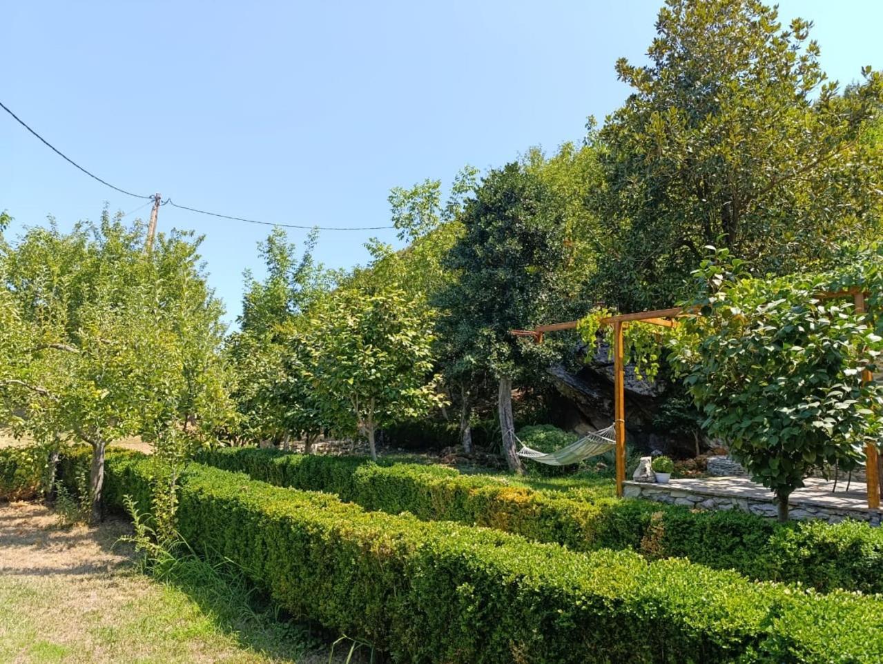 Μountain Whispers Apartment Mouresi Exterior photo